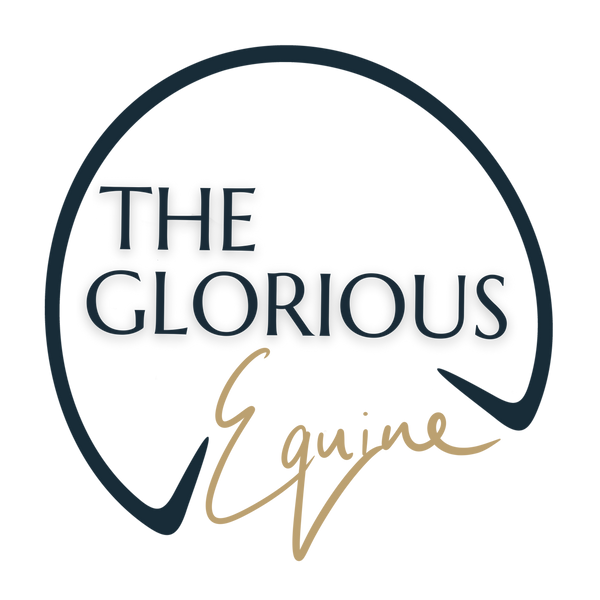 The Glorious Equine